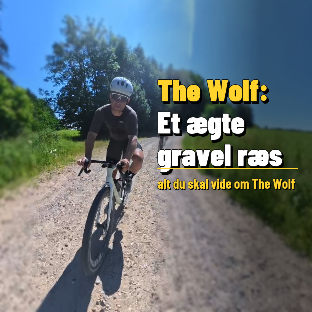The Wolf: Et ægte gravel ræs